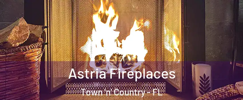  Astria Fireplaces Town 'n' Country - FL
