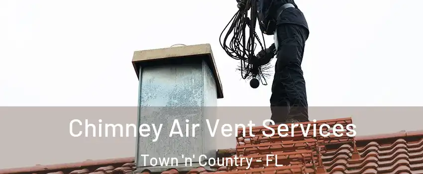  Chimney Air Vent Services Town 'n' Country - FL