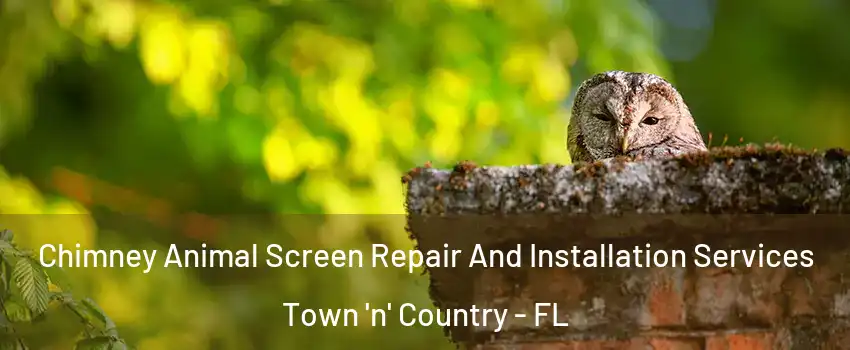  Chimney Animal Screen Repair And Installation Services Town 'n' Country - FL