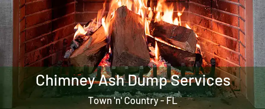 Chimney Ash Dump Services Town 'n' Country - FL