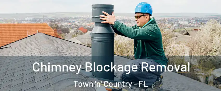  Chimney Blockage Removal Town 'n' Country - FL