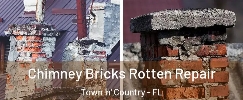  Chimney Bricks Rotten Repair Town 'n' Country - FL