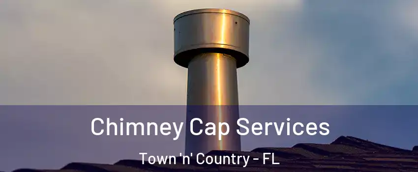  Chimney Cap Services Town 'n' Country - FL