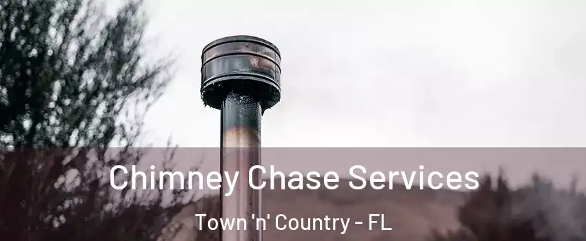  Chimney Chase Services Town 'n' Country - FL