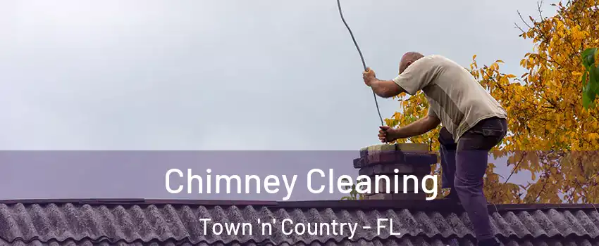  Chimney Cleaning Town 'n' Country - FL