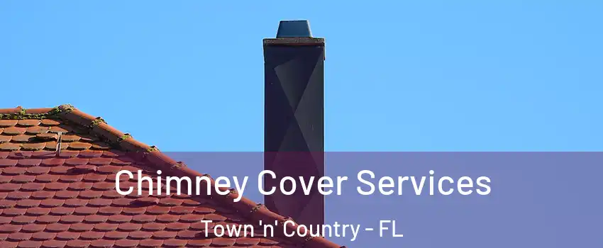  Chimney Cover Services Town 'n' Country - FL