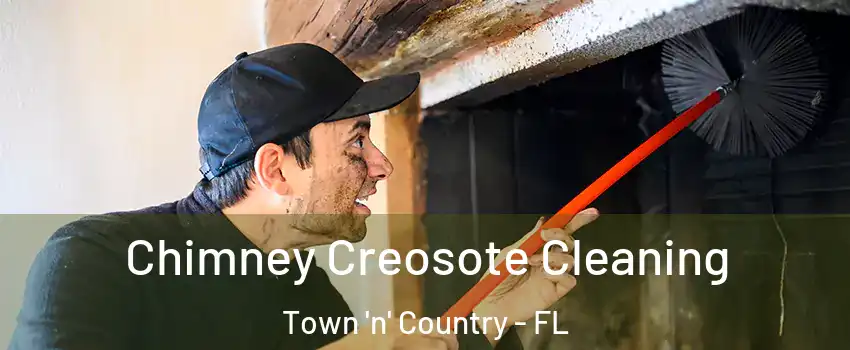  Chimney Creosote Cleaning Town 'n' Country - FL