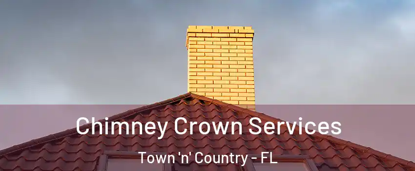  Chimney Crown Services Town 'n' Country - FL