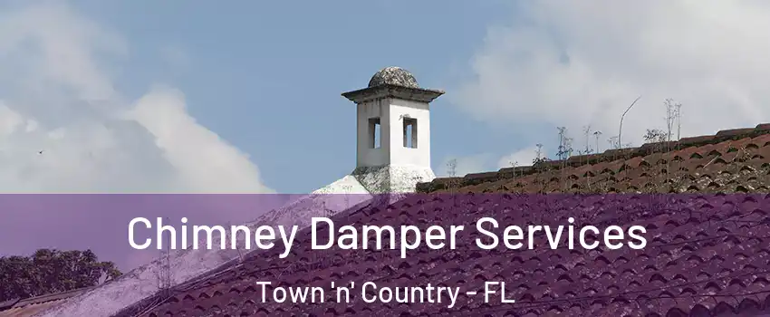  Chimney Damper Services Town 'n' Country - FL