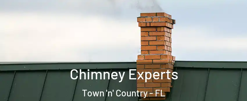  Chimney Experts Town 'n' Country - FL