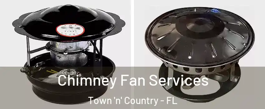  Chimney Fan Services Town 'n' Country - FL