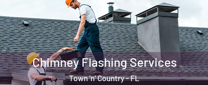  Chimney Flashing Services Town 'n' Country - FL
