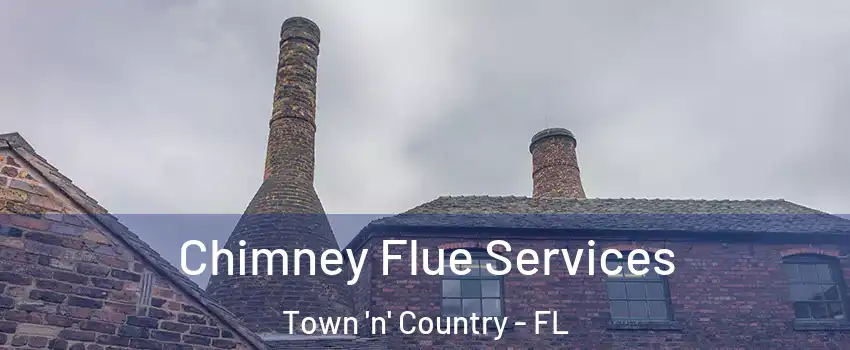  Chimney Flue Services Town 'n' Country - FL