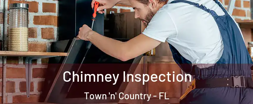  Chimney Inspection Town 'n' Country - FL