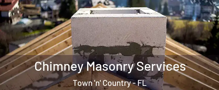  Chimney Masonry Services Town 'n' Country - FL
