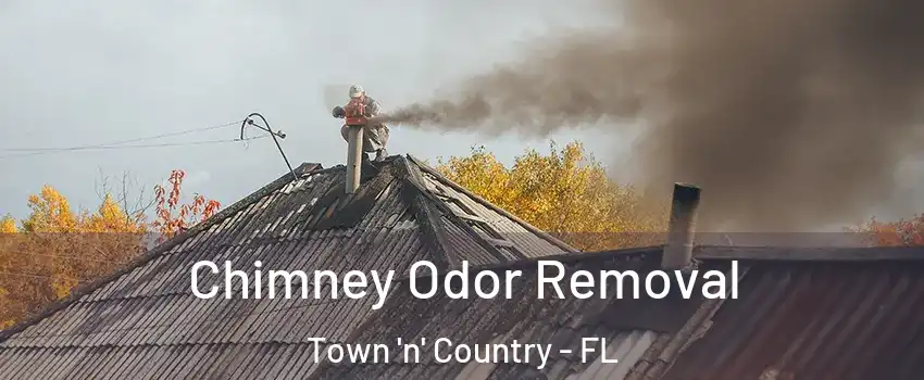  Chimney Odor Removal Town 'n' Country - FL