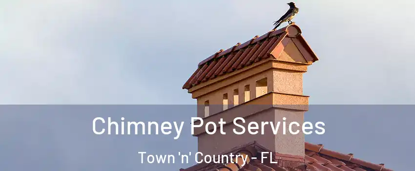  Chimney Pot Services Town 'n' Country - FL