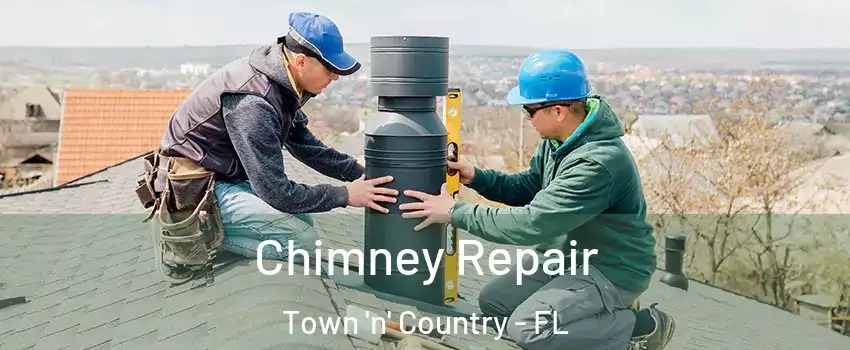  Chimney Repair Town 'n' Country - FL