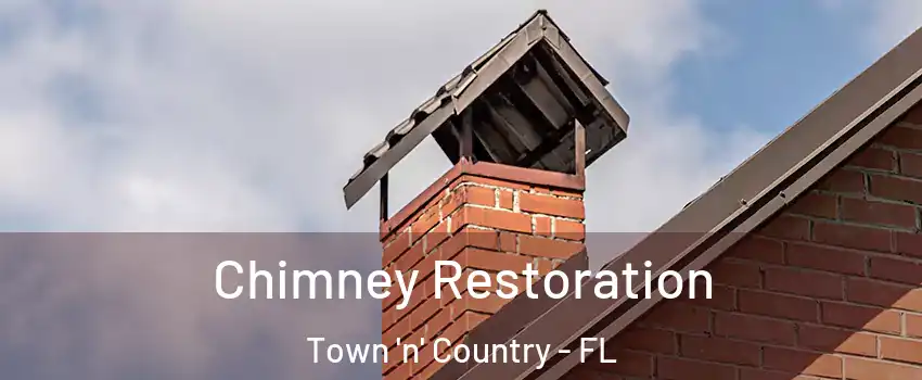  Chimney Restoration Town 'n' Country - FL