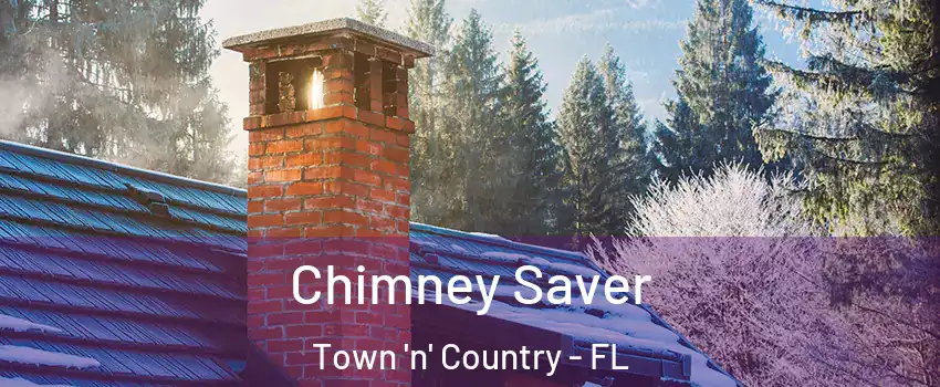  Chimney Saver Town 'n' Country - FL