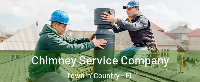  Chimney Service Company Town 'n' Country - FL