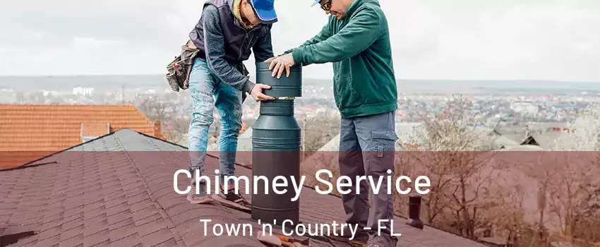  Chimney Service Town 'n' Country - FL
