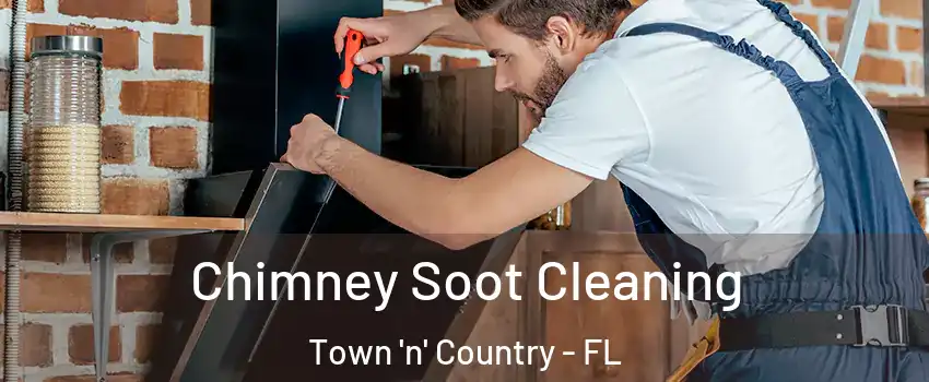  Chimney Soot Cleaning Town 'n' Country - FL