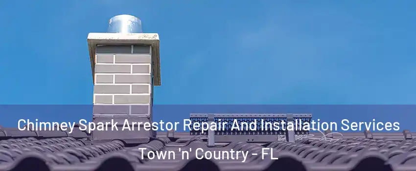  Chimney Spark Arrestor Repair And Installation Services Town 'n' Country - FL