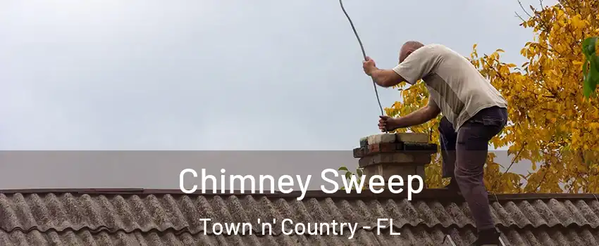  Chimney Sweep Town 'n' Country - FL