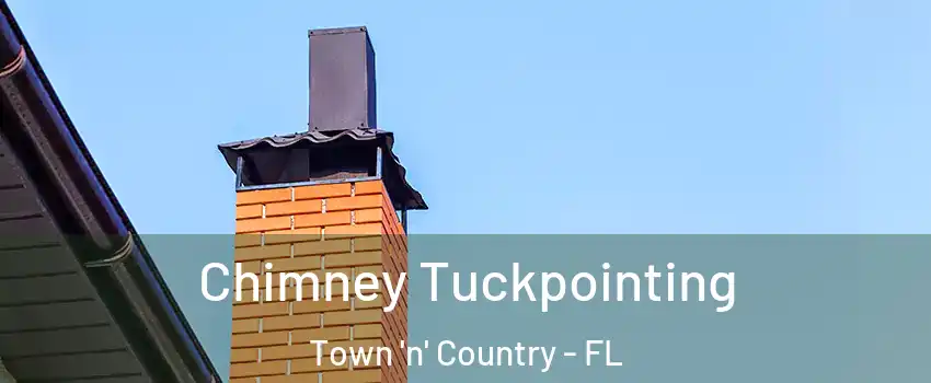  Chimney Tuckpointing Town 'n' Country - FL