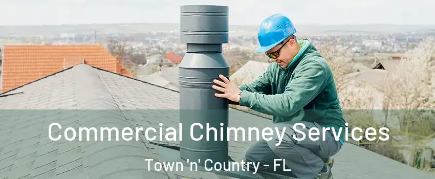  Commercial Chimney Services Town 'n' Country - FL
