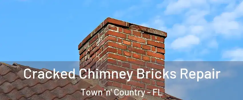  Cracked Chimney Bricks Repair Town 'n' Country - FL