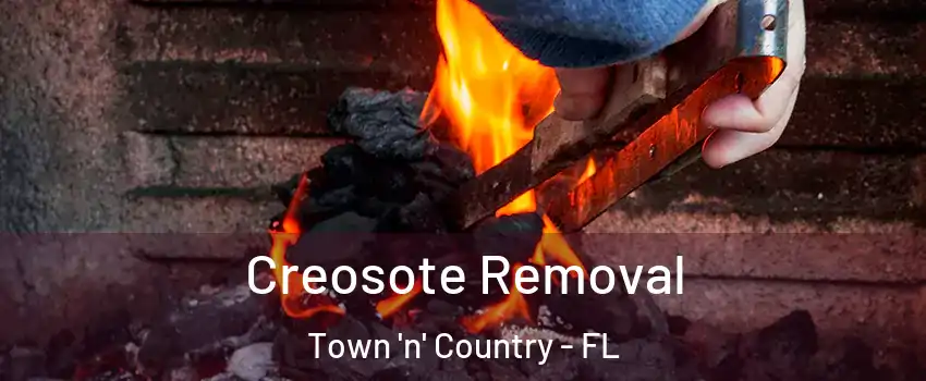  Creosote Removal Town 'n' Country - FL