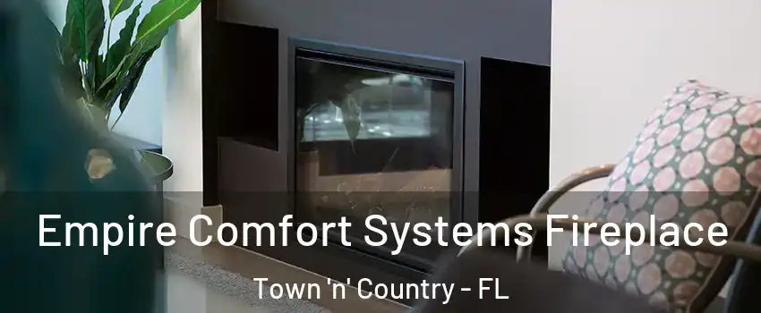  Empire Comfort Systems Fireplace Town 'n' Country - FL