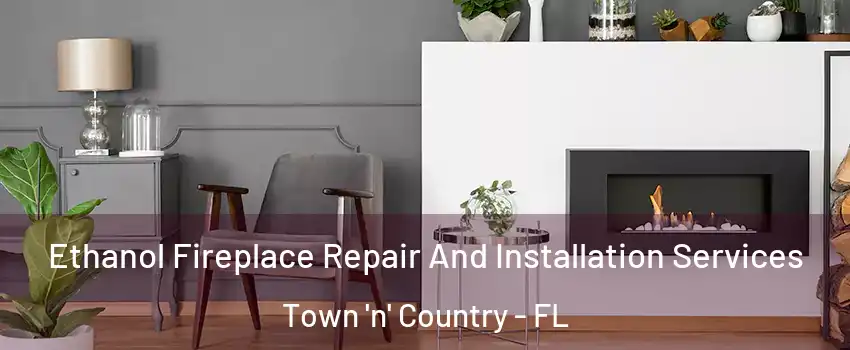  Ethanol Fireplace Repair And Installation Services Town 'n' Country - FL