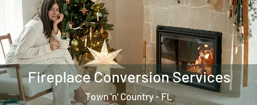  Fireplace Conversion Services Town 'n' Country - FL
