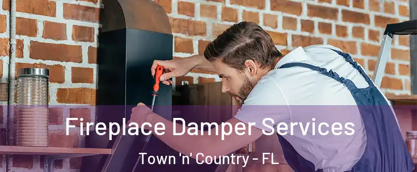  Fireplace Damper Services Town 'n' Country - FL