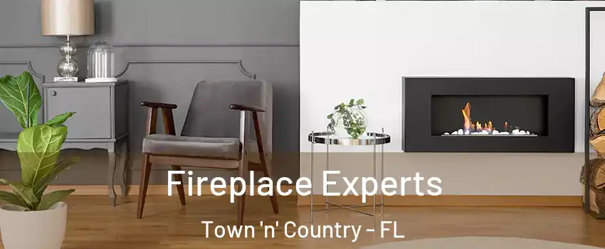  Fireplace Experts Town 'n' Country - FL