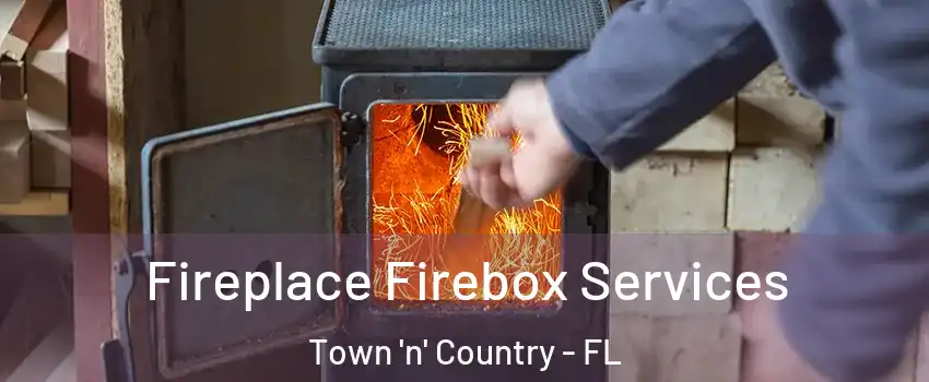 Fireplace Firebox Services Town 'n' Country - FL