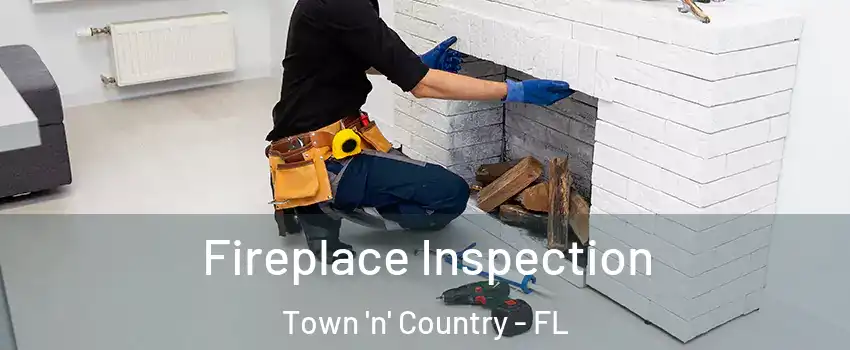  Fireplace Inspection Town 'n' Country - FL