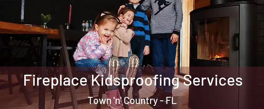  Fireplace Kidsproofing Services Town 'n' Country - FL