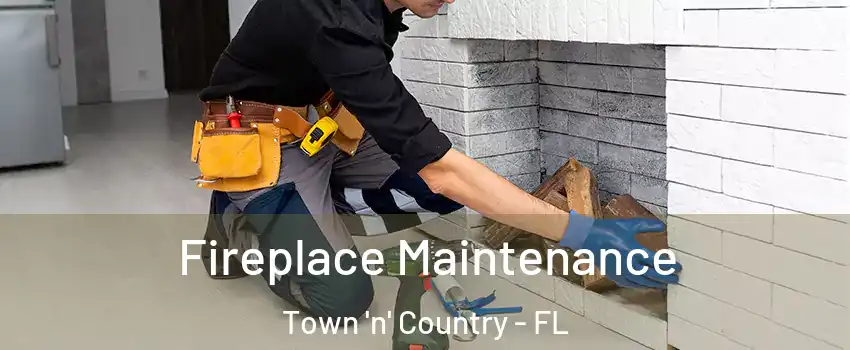  Fireplace Maintenance Town 'n' Country - FL