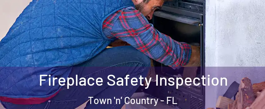  Fireplace Safety Inspection Town 'n' Country - FL