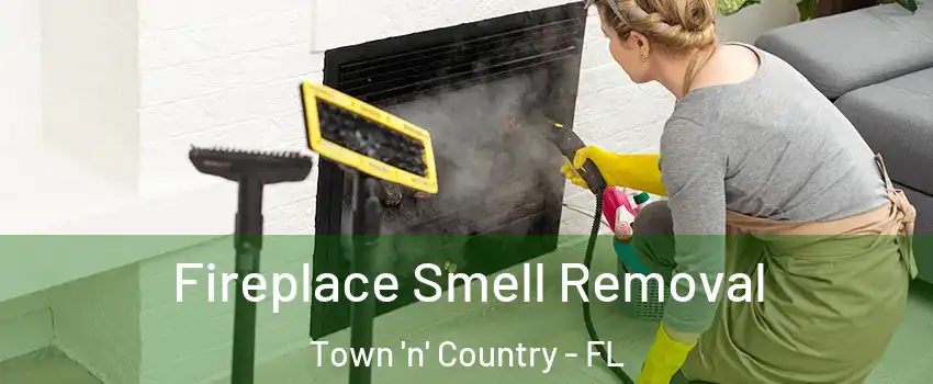  Fireplace Smell Removal Town 'n' Country - FL