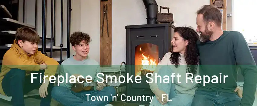  Fireplace Smoke Shaft Repair Town 'n' Country - FL