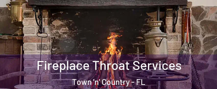  Fireplace Throat Services Town 'n' Country - FL