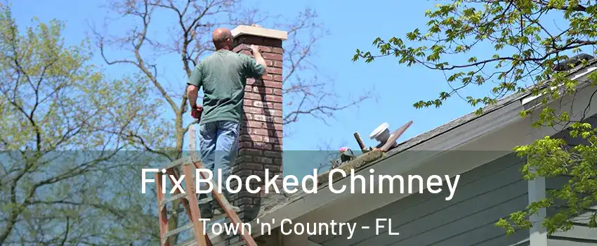  Fix Blocked Chimney Town 'n' Country - FL