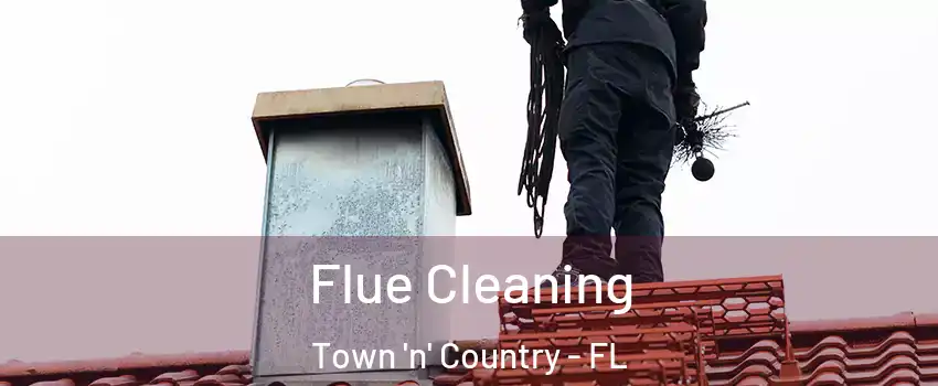  Flue Cleaning Town 'n' Country - FL