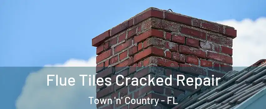  Flue Tiles Cracked Repair Town 'n' Country - FL