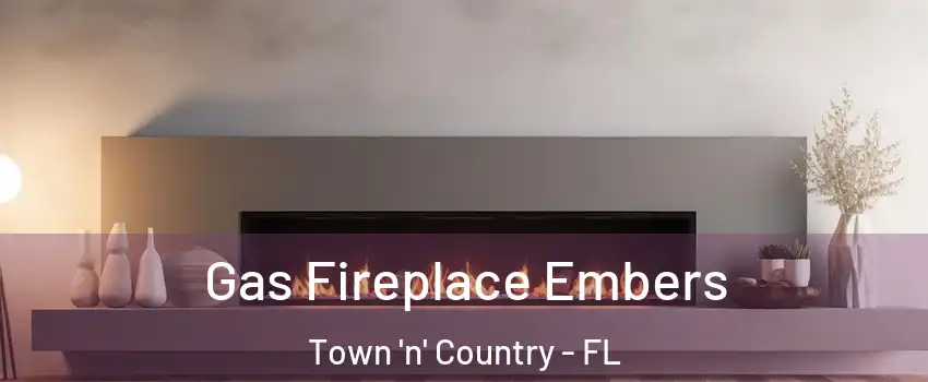  Gas Fireplace Embers Town 'n' Country - FL
